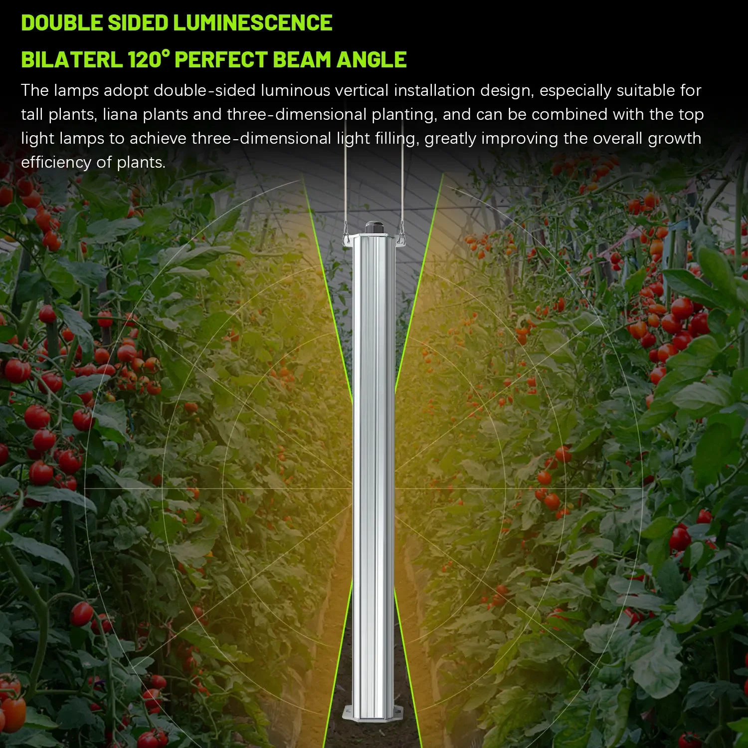 Agriculture Tomato Farming - Лучшая гидропонная установка для вертикального садоводства