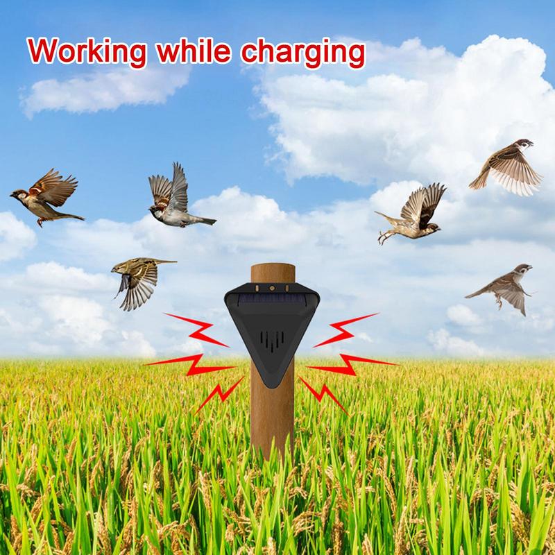 Солнечный таймер, отпугиватель – обзор и цена Solar Bird Scarer