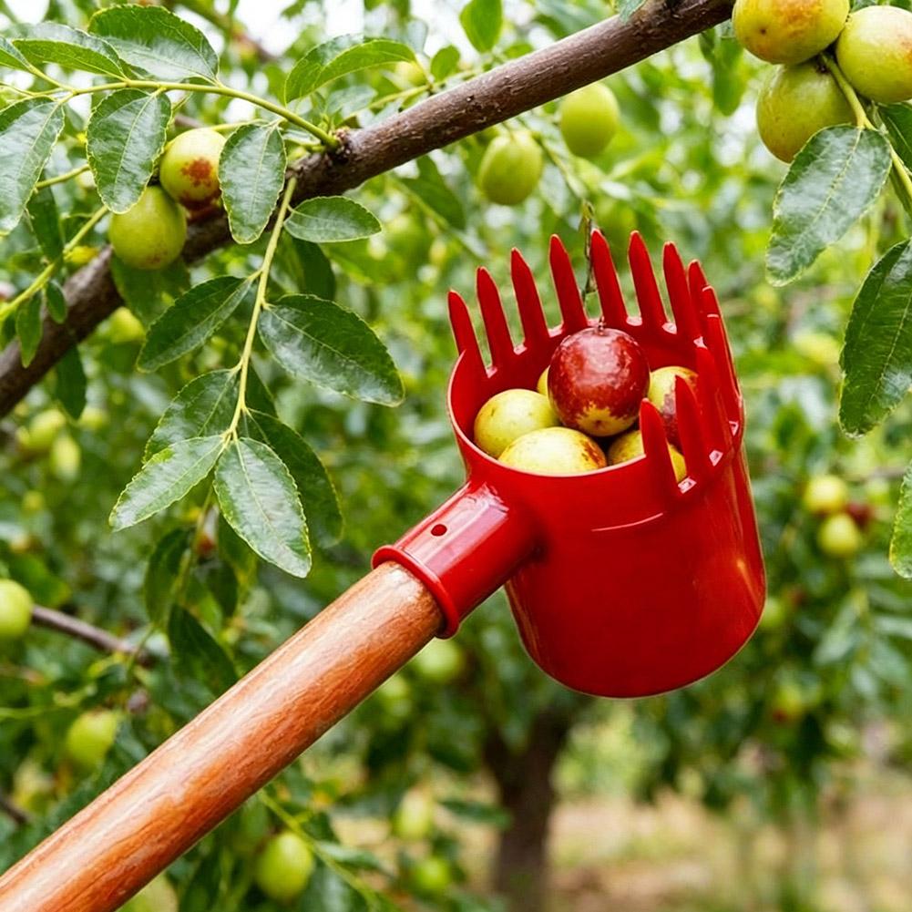 Портативный инструмент для сбо – обзор и цена Agriculture Tomato Farming