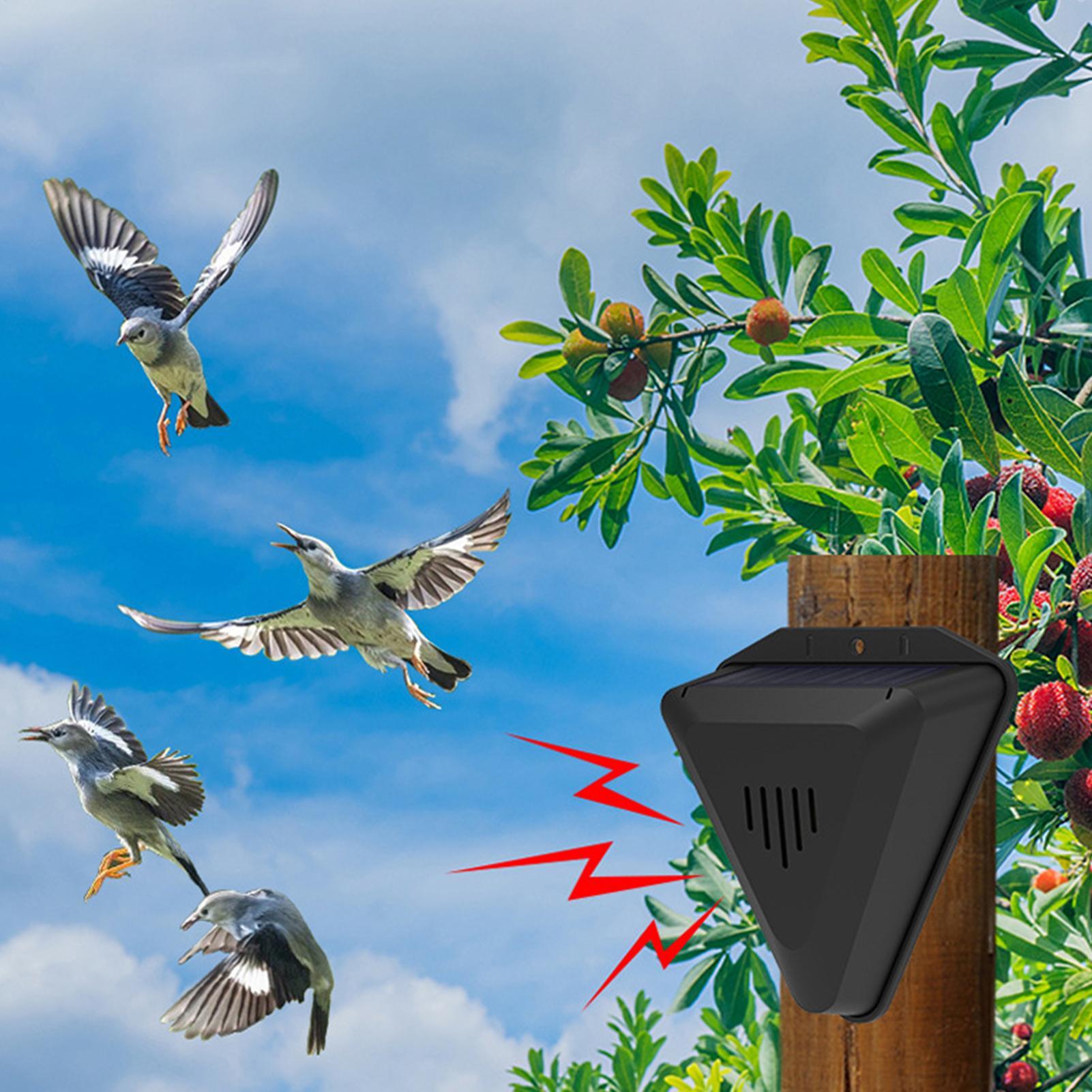 Водонепроницаемый солнечный от – обзор и цена Solar Bird Scarer