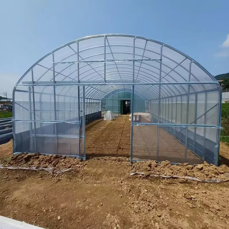Однопролетные сельскохозяйстве – обзор и цена Agriculture Tomato Farming