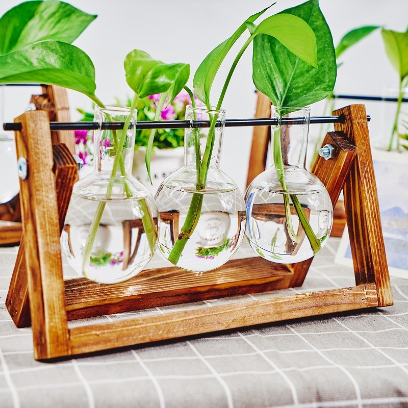 Настольный стеклянный кашпо, с – обзор и цена Plant Growth Regulator