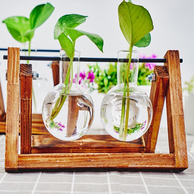 Настольный стеклянный кашпо, с – обзор и цена Plant Growth Regulator