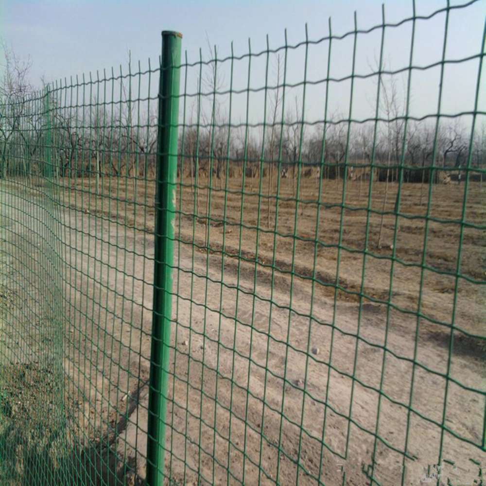 Ограждение для сада, безопасны – обзор и цена Rabbit Cage Wire